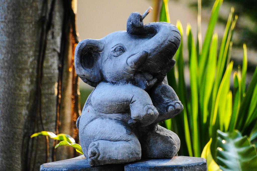 Thai Dee Garden Haad Rin